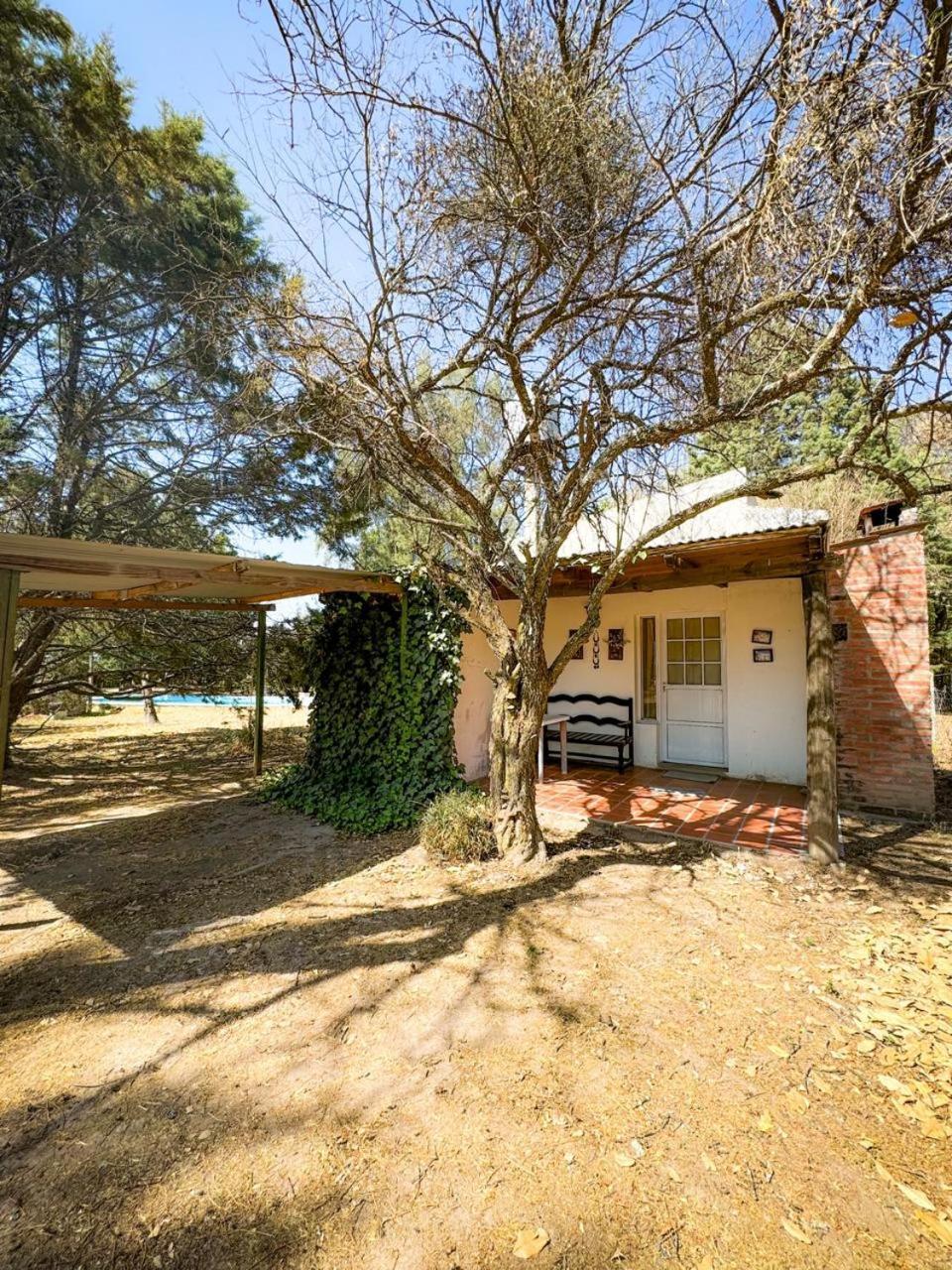 Lodge Chawasi